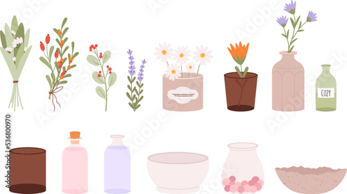 Medicinal herbs, flowers in vases and glasses, empty bottles and bowls. Cozy home collection, decor and crockery. Chamomile and lavender, herbal vector set