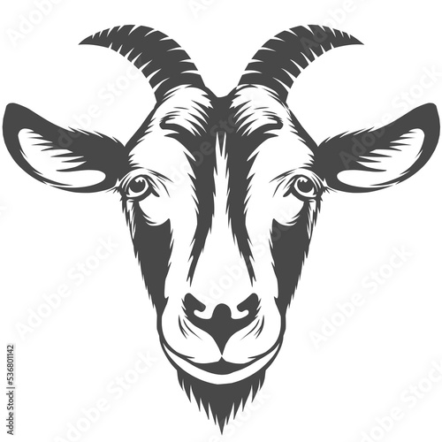 head of a goat