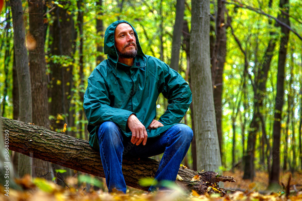 Bearded man with yellow maple leaf in autumn in the forest. Portrait of a man in the autumn forest. The bearded man stands, sits, walks in the autumn forest. The concept of nature, parks, recreation. Bearded man with yellow maple leaf in autumn in the forest. Portrait of a man in the autumn forest. The bearded man stands, sits, walks in the autumn forest. The concept of nature, parks, recreation.