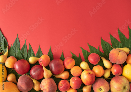 Summer composition made with fresh fruits and green leaves on pastel red background. Creative flat lay.