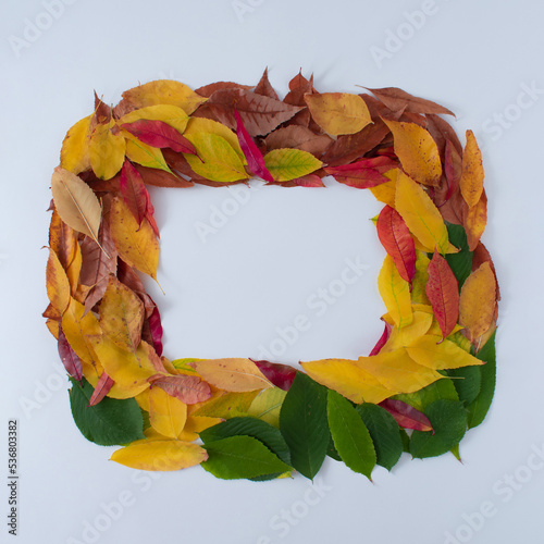 Frame made of colorful autumn leaves on a white background. Creative nature concept.