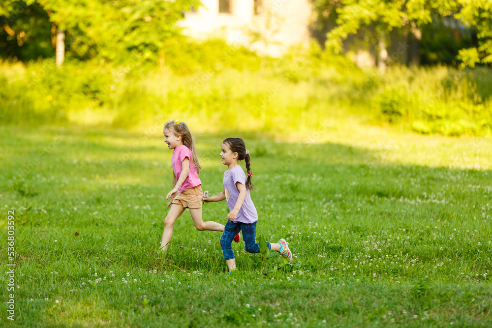 two little girls walking in the field. two little girls walking in the field.