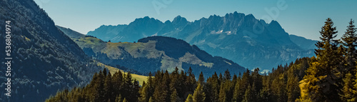 Beautiful alpine summer view with the famous Wilder Kaiser mountains in the background at Fieberbrunn  Tyrol  Austria