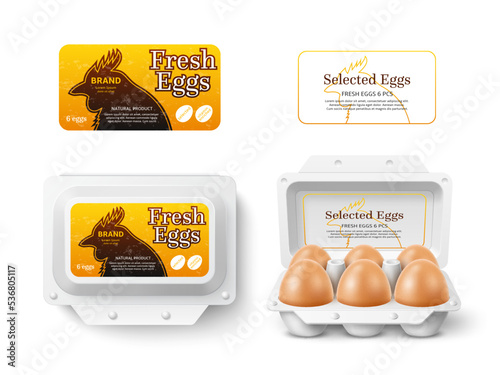 Hen eggs package design mockup. Box with stickers, farm fresh chicken product, natural diet breakfast, rural manufacture, open and closed box with label. Healthy food utter vector concept