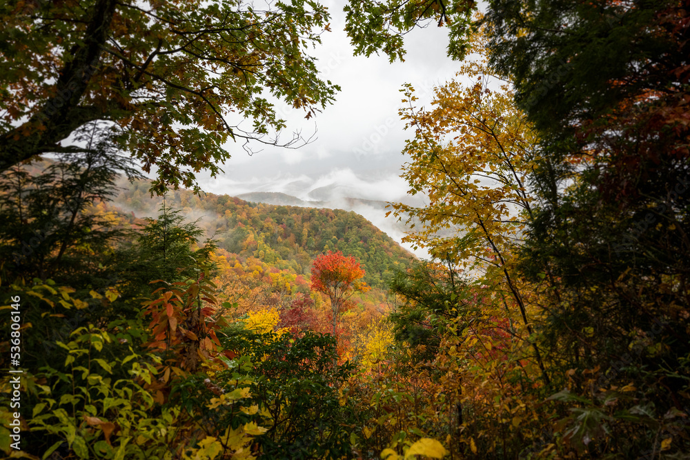 Window Through The Autumn Colors To Swirling Clouds Below