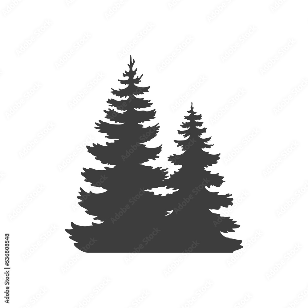 Realistic forest silhouette. Monochrome pine trees