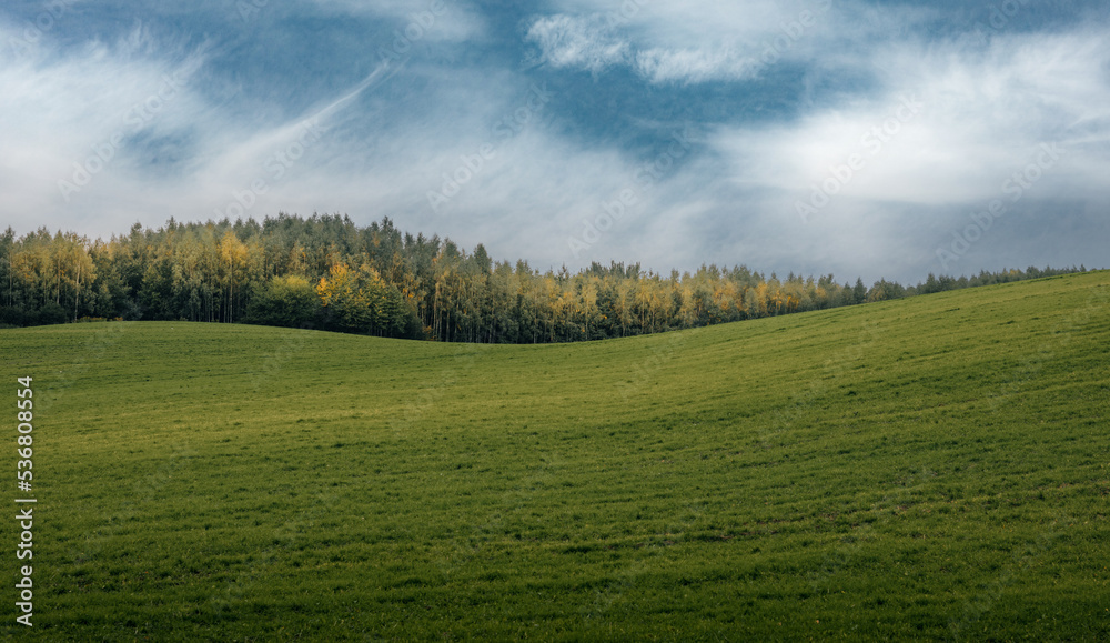 Fototapeta premium green hills with forest in the background