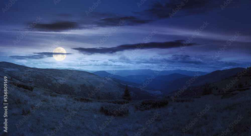 Naklejka premium panoramic view in to valley. stunning landscape of carpathian mountains at night in summer. forested hills and grassy meadows beneath a bright blue sky in full moon light