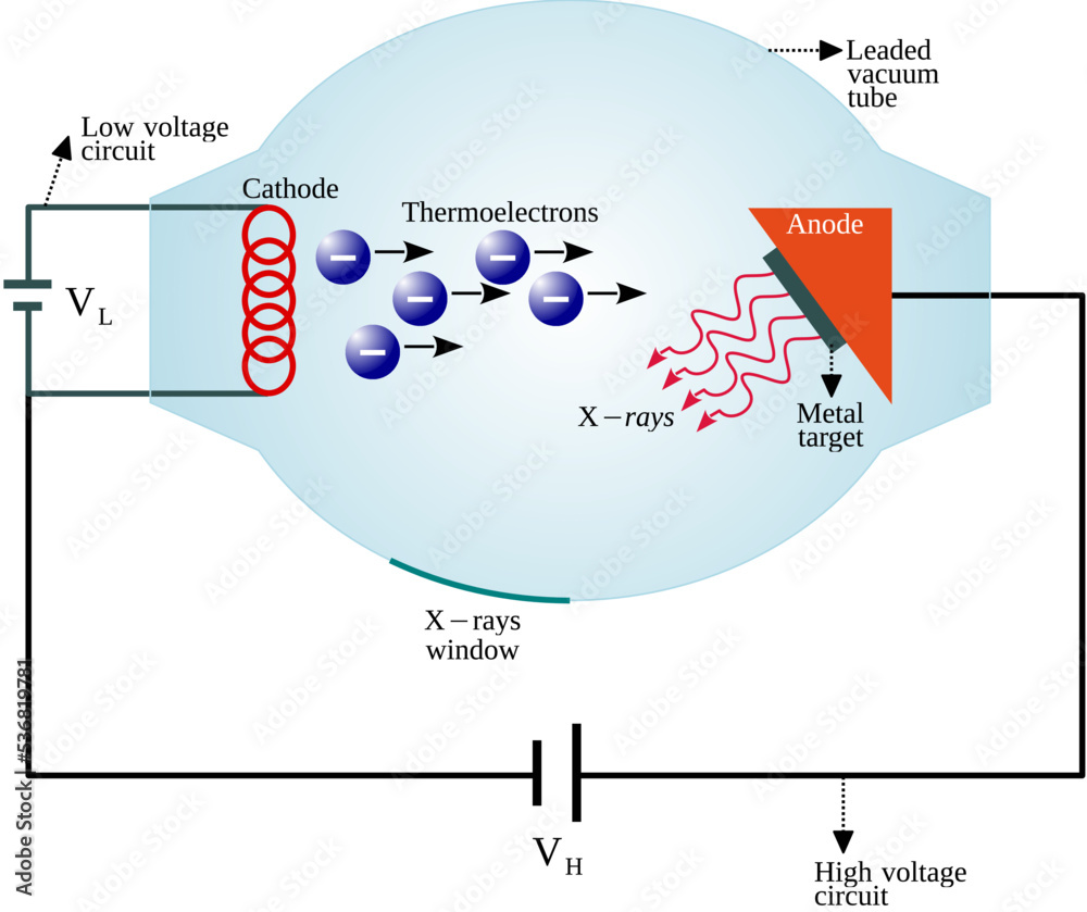 An xray tube is a transducer that convert electrical energy into two