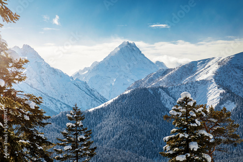 Obraz na płótnie Mountain view through snow covered trees w salonie