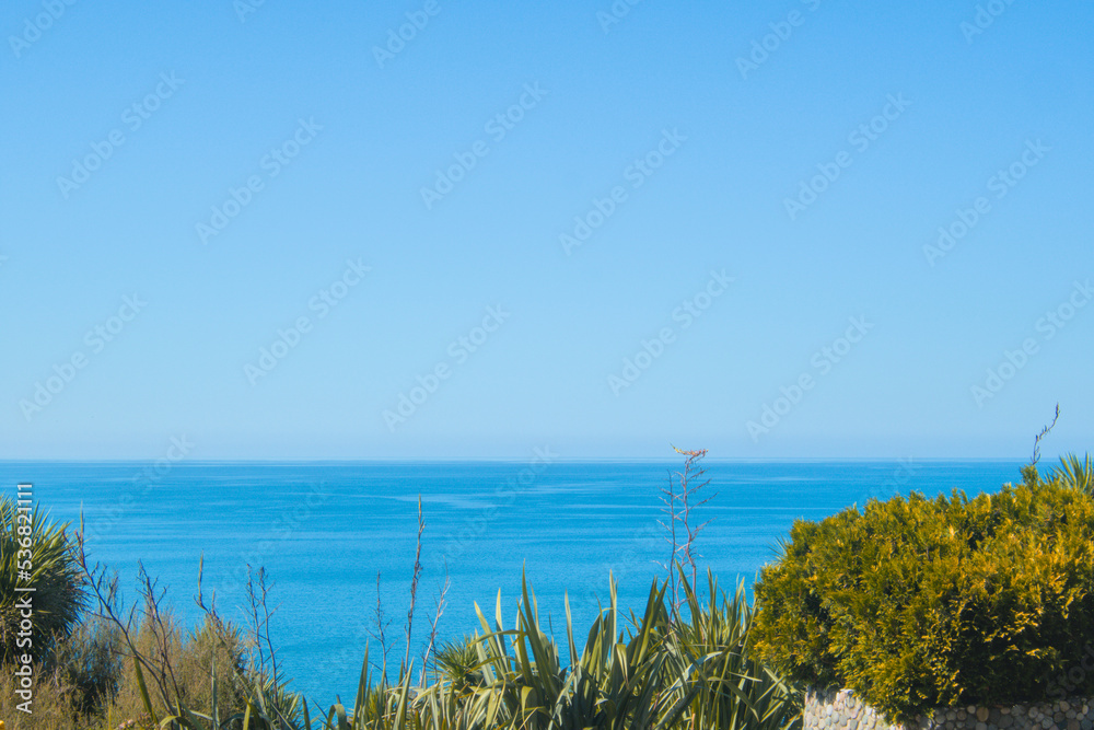 View ob black clue bright sea and green plants as relaxing bright summer exotic tropical background with copy free space for text