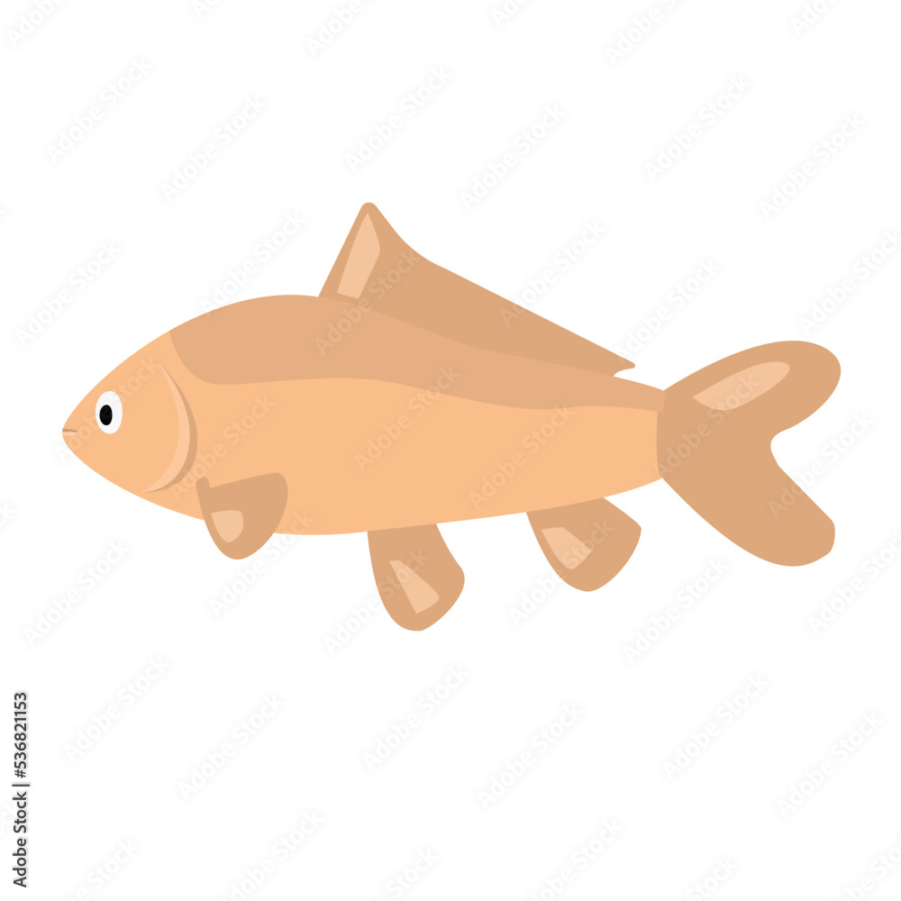 Cyprinus, carp. Children's illustration fish Cyprinus, carp. Children's illustration fish