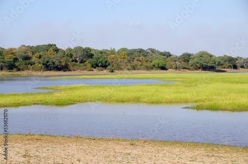 River in the Katavi park in Tanzania, East Africa