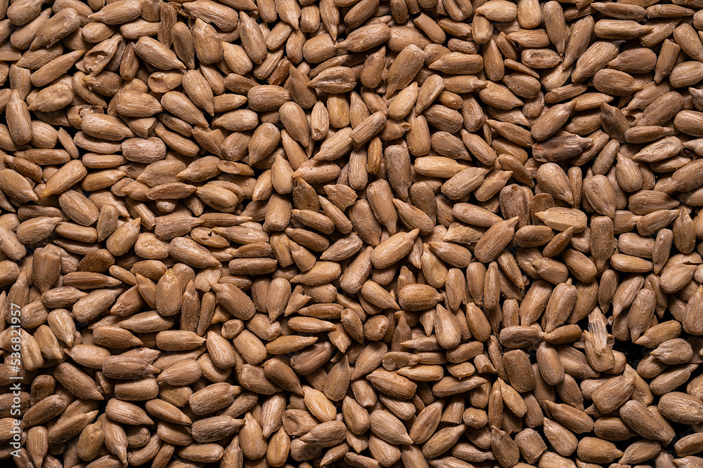 Background in the form of sunflower seeds. Background in the form of sunflower seeds.