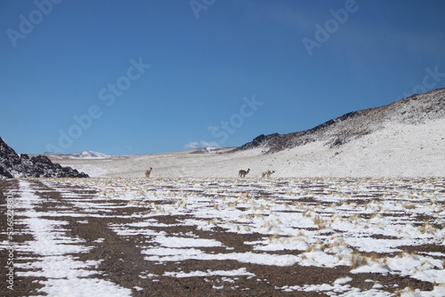 Desert landscape of northwestern Argentina © Pancho Casagrande