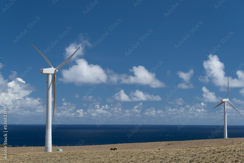 Hawi wind farm near Upolu airport - 4