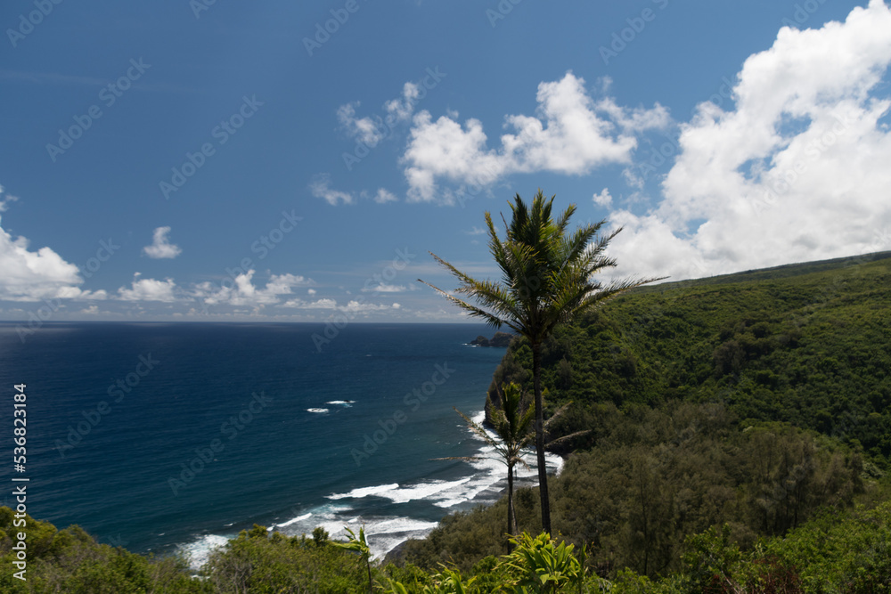 Lookout over Pololu Point with Pacific horizon in the background Lookout over Pololu Point with Pacific horizon in the background
