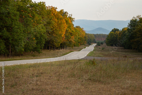 Country road and forest, hills in the background