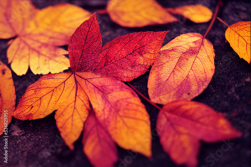  Autumn Texture Closeup of Fall Leaves, Beautiful Group of Organic Colorful Bold natural scene on the ground, Nature Photo, lo fi and soft focus , Short Depth of Field