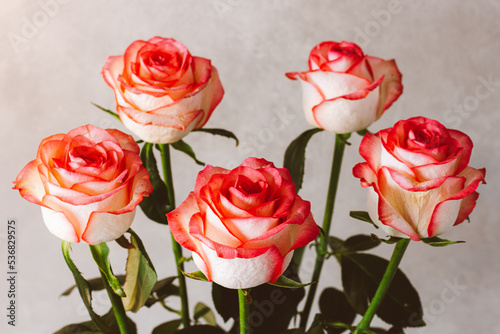 bouquet of pink roses