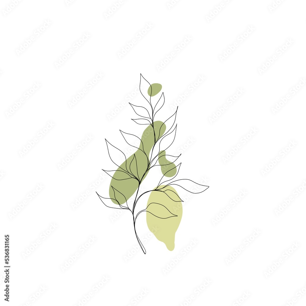 design template plant line art. Minimalistic line drawing. leaf line