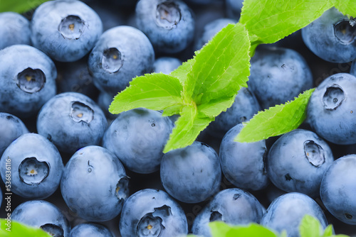 photo of tasty blueberries - a healthy fruit snack, food ingredient