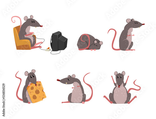 Funny Rat as Long-tailed Rodent Engaged in Different Activity Vector Set