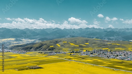 Aerial shot of rape flowers in Menyuan, Qinghai Province, China photo