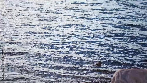 Bronze stones under sun-drenched shallow water, waves in shallow water