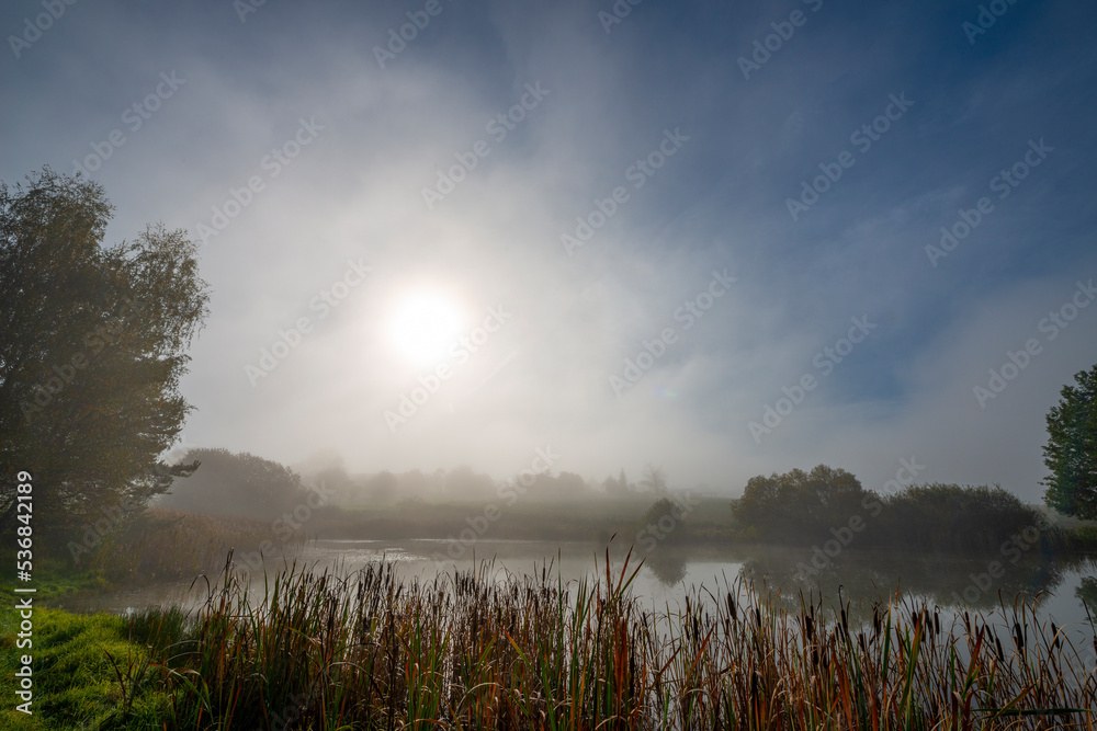 Fototapeta premium an autumnal landscape with pond and fog