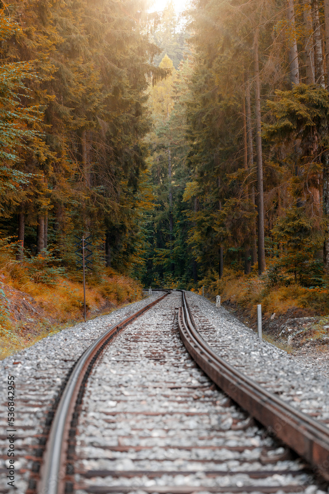 Fototapeta premium The railway track passes through the forest, the road goes into the distance