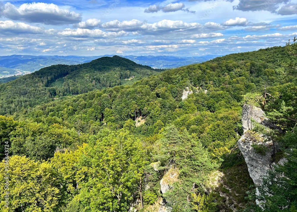 Obraz premium view of the Strazovske Vrchy mountain range
