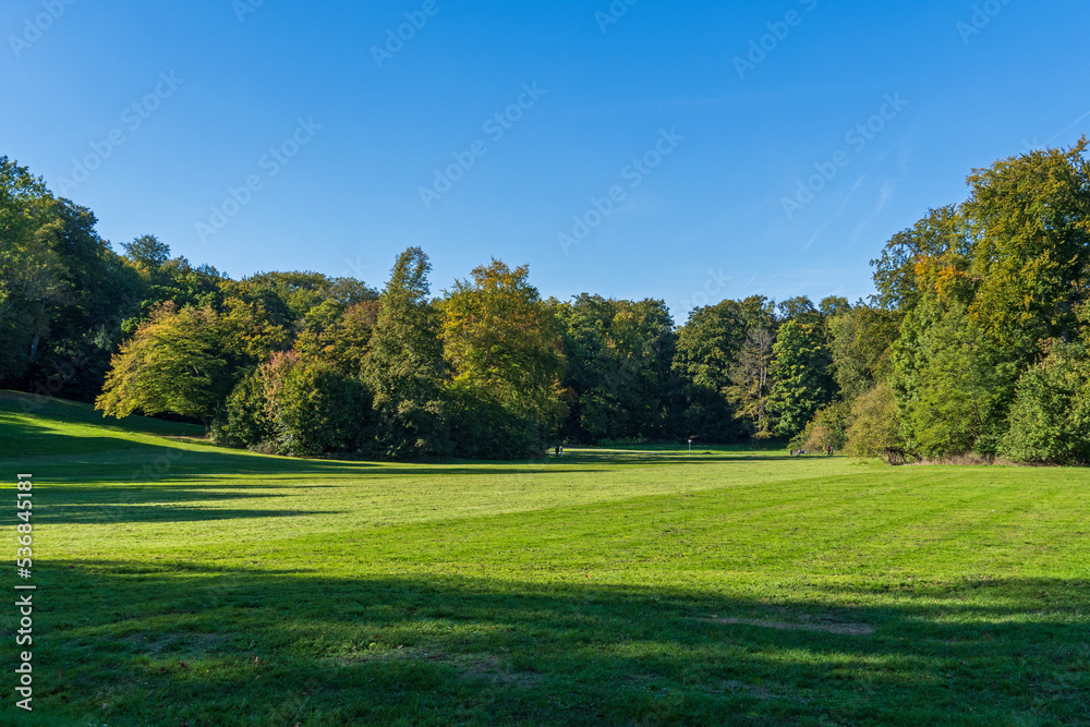 Kölner Stadtwald