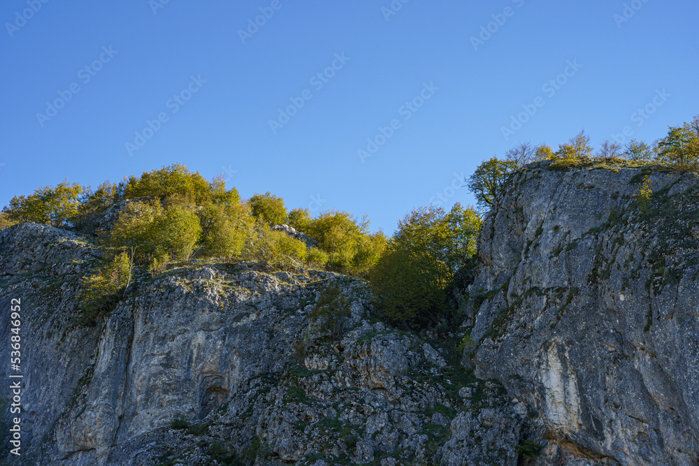 autumn landscape in the mountains