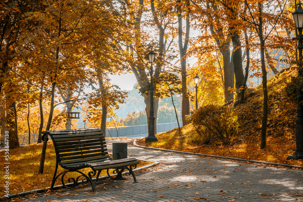 Bench in the beautiful autumn park.