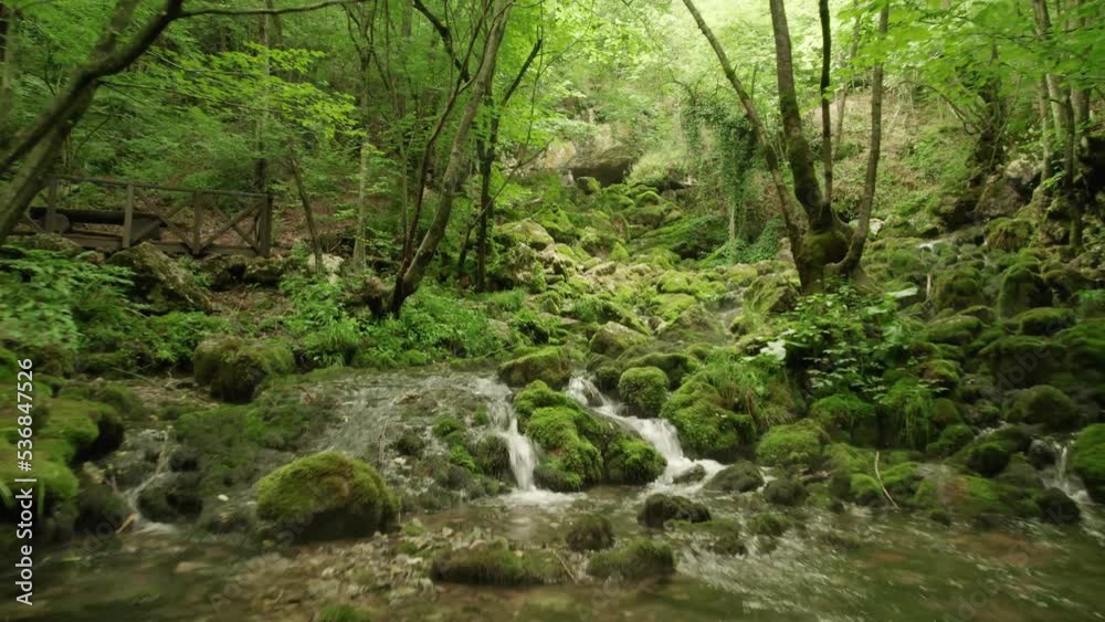 Slow flying through the forest over the beautiful mountain stream Slow flying through the forest over the beautiful mountain stream