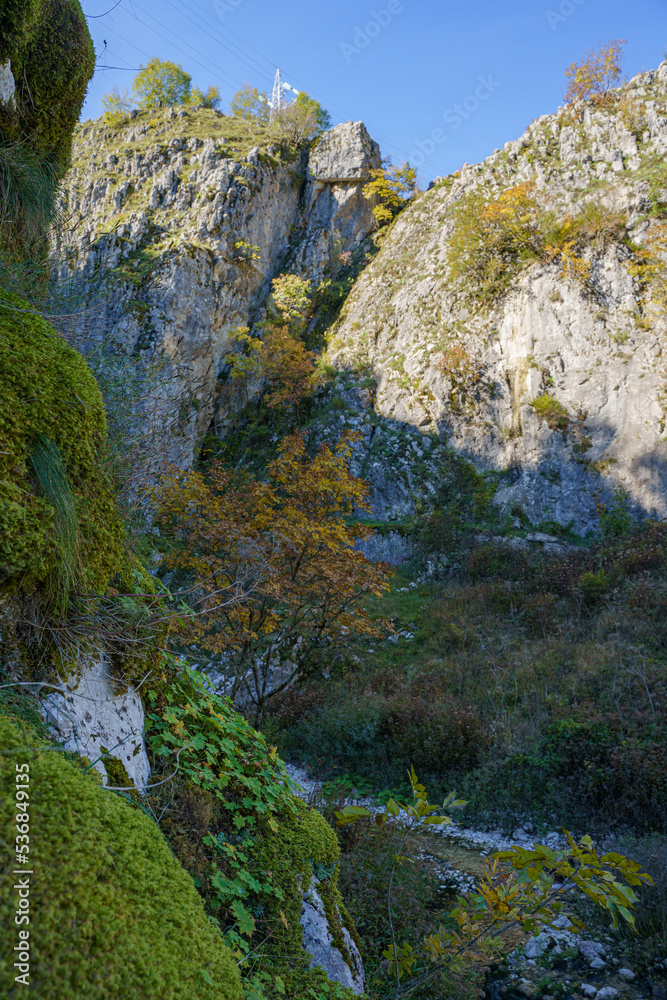 autumn landscape in the mountains autumn landscape in the mountains