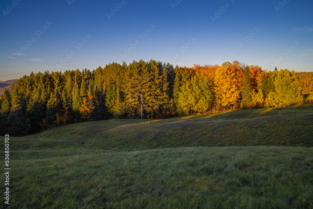 Colorful Fall Forest Landscape With Hills and Meadows In The Foreground Against A Clear Blue Sky During Sunset