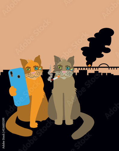 Demolition cats from the Armed Forces of Ukraine against the background of the Crimean bridge