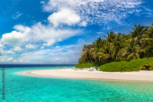 Tropical beach in the Maldives © Sergii Figurnyi