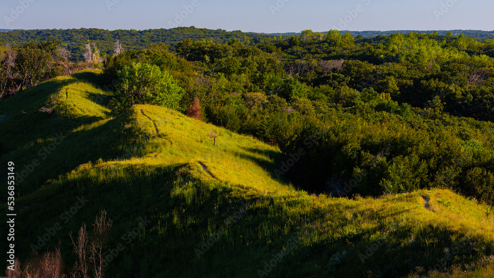 Fall Color in the Loess Hills State Forest.  Loess Hill on the east side of the Missouri River in Iowa