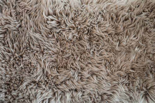 Closeup detail of gray shag rug