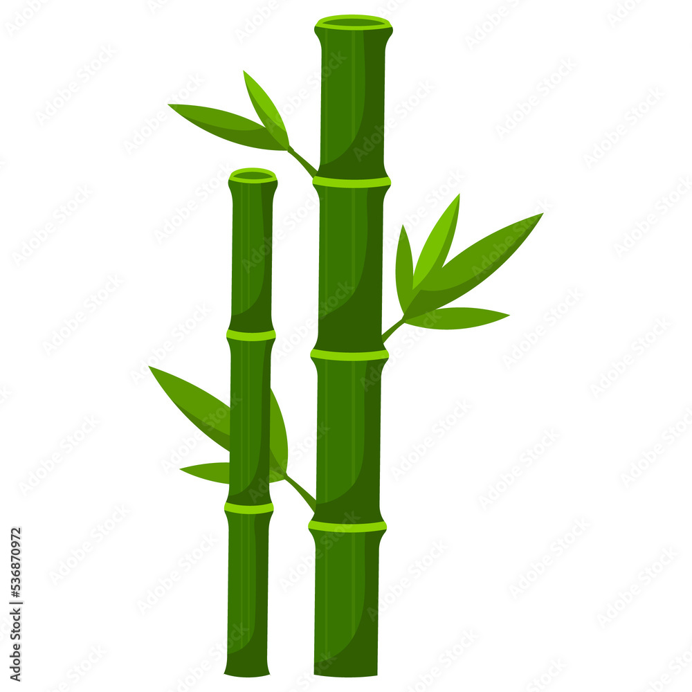 Naklejka premium bamboo plant leaves nature fresh from asia