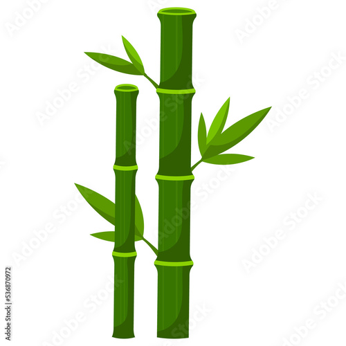 Fototapeta Naklejka Na Ścianę i Meble -  bamboo plant leaves nature fresh from asia