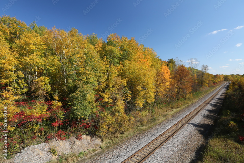 railroad in autumn forest