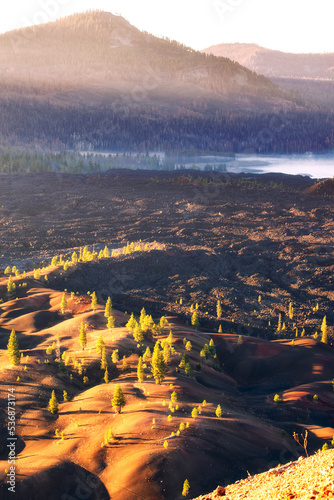 Sun Painted Dunes