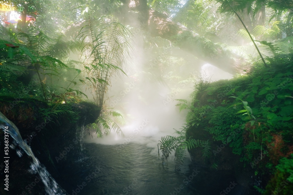 Fototapeta premium Sunlight with fog in park