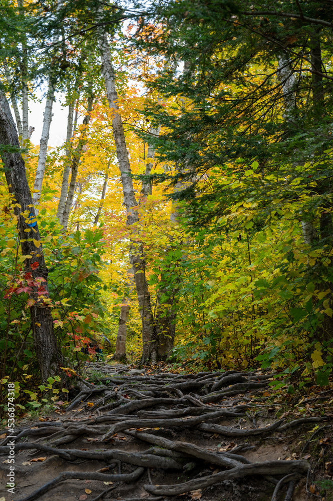 Fototapeta premium Beautiful Killarney provincial park in Canda