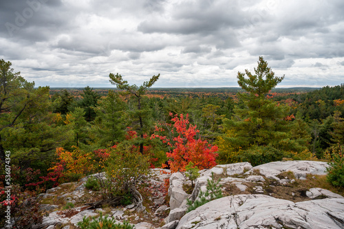 Beautiful Killarney provincial park in Canda photo