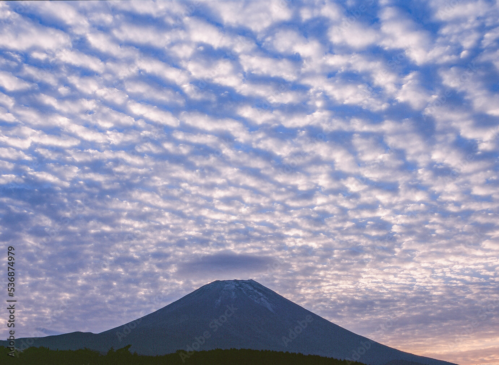 富士山と鱗雲